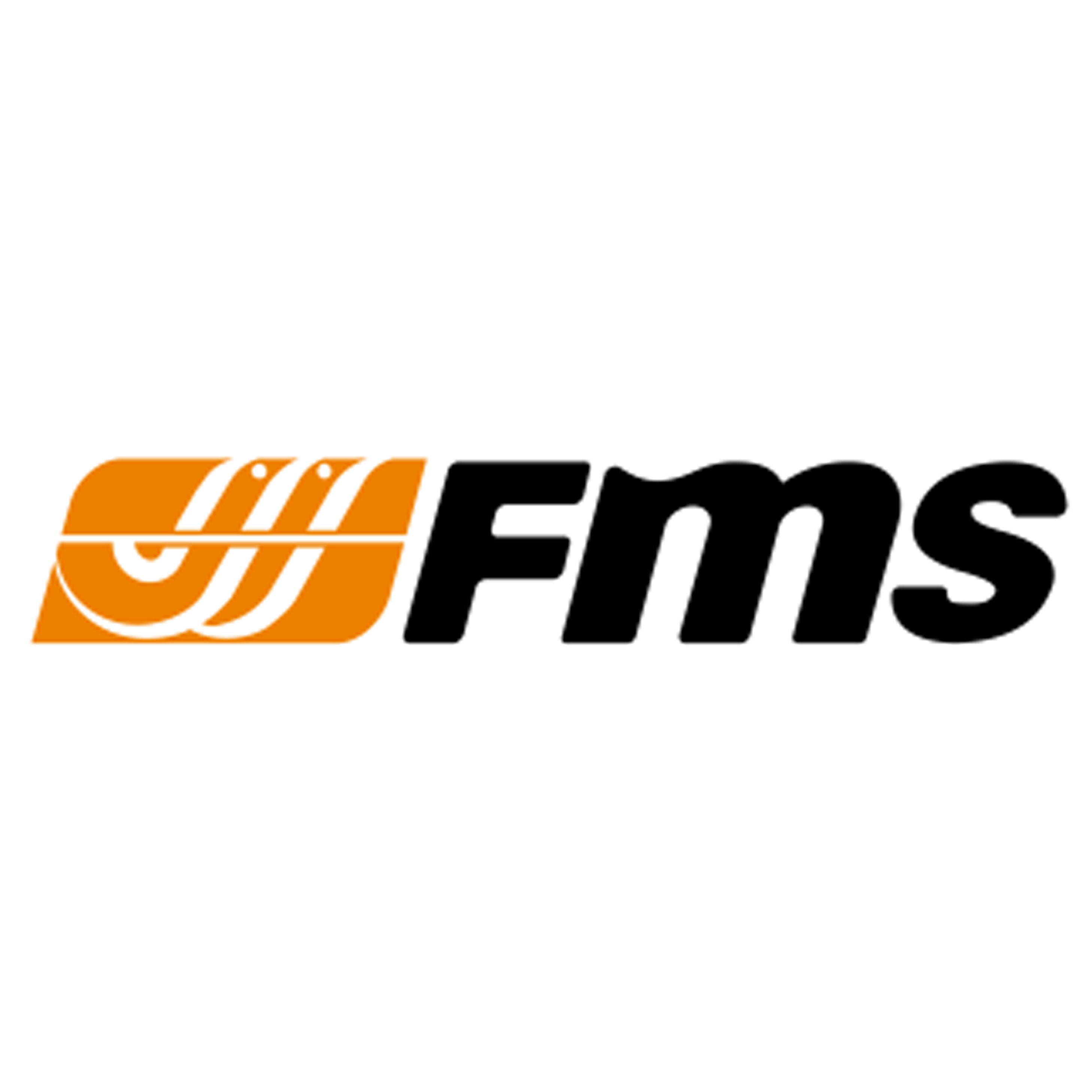RC FMS RTR & KIT – Mobilio Store