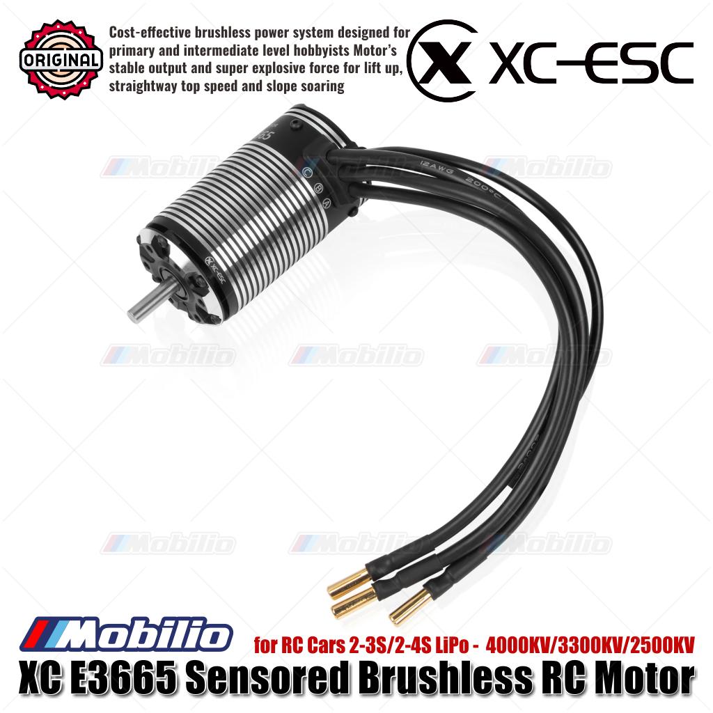Motor RC Brushless Sensored XC-ESC E3665 2-3S/2-4S LiPo 4000KV/3300KV/2500KV untuk Mobil RC
