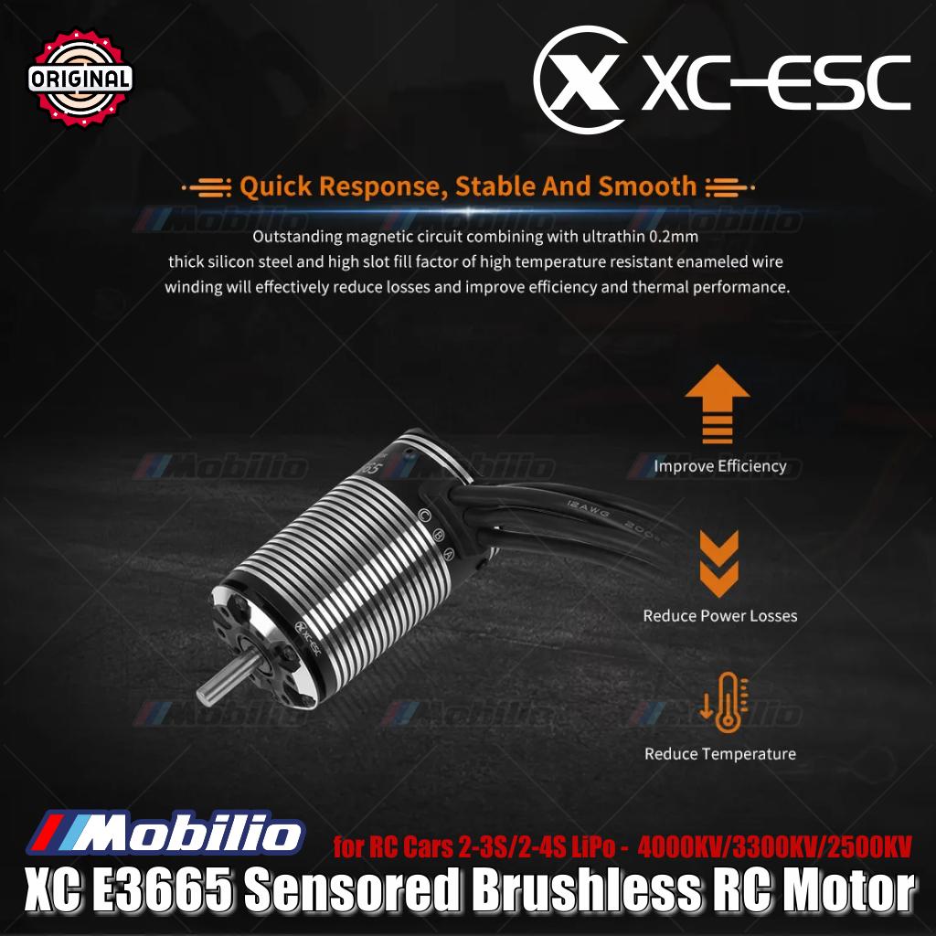 Motor RC Brushless Sensored XC-ESC E3665 2-3S/2-4S LiPo 4000KV/3300KV/2500KV untuk Mobil RC