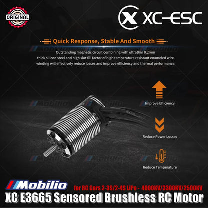 Motor RC Brushless Sensored XC-ESC E3665 2-3S/2-4S LiPo 4000KV/3300KV/2500KV untuk Mobil RC