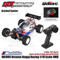 UDIR/C UD1805 / UD1805-Pro Ursavus Buggy Racing 1/18 Scale 4WD 2.4GHz ESP Gyro RC Car RTR