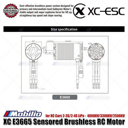 Motor RC Brushless Sensored XC-ESC E3665 2-3S/2-4S LiPo 4000KV/3300KV/2500KV untuk Mobil RC