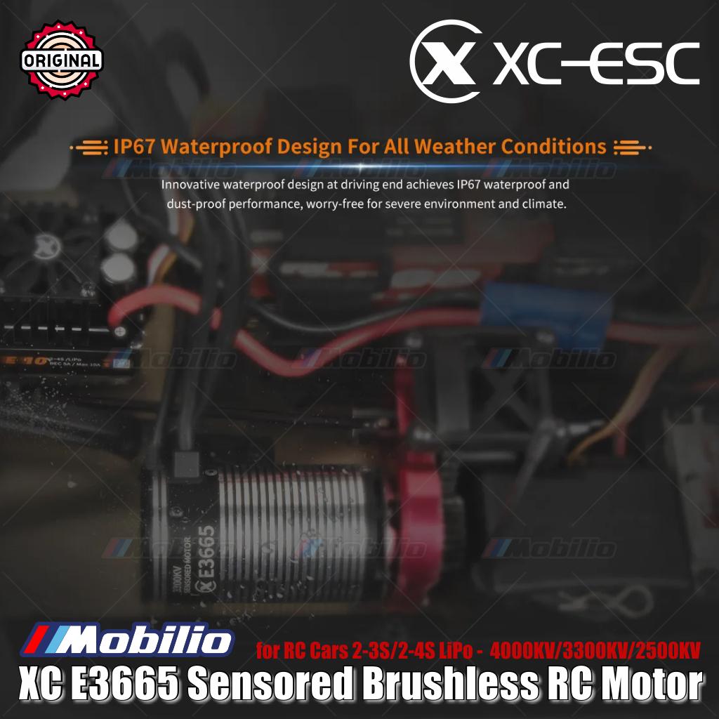 Motor RC Brushless Sensored XC-ESC E3665 2-3S/2-4S LiPo 4000KV/3300KV/2500KV untuk Mobil RC