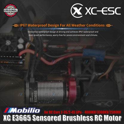 Motor RC Brushless Sensored XC-ESC E3665 2-3S/2-4S LiPo 4000KV/3300KV/2500KV untuk Mobil RC